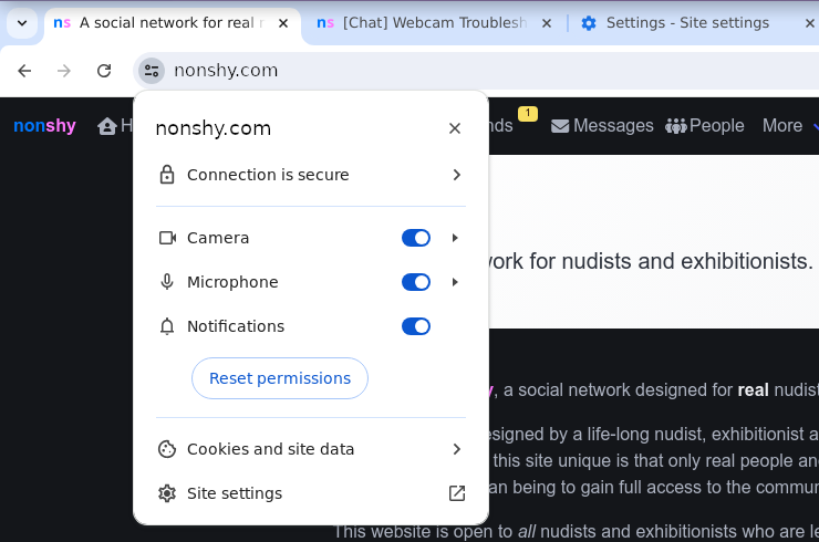 A screenshot of the Google Chrome settings drop-down near the address bar.